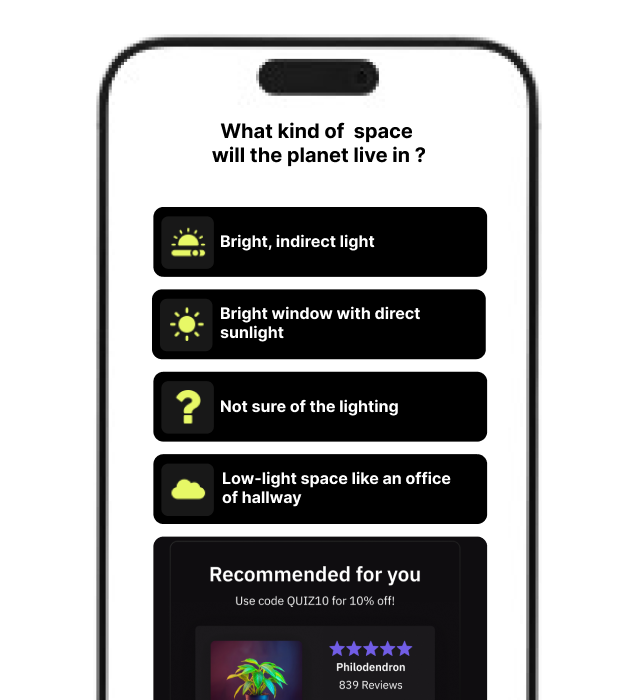 interactive-quizzes