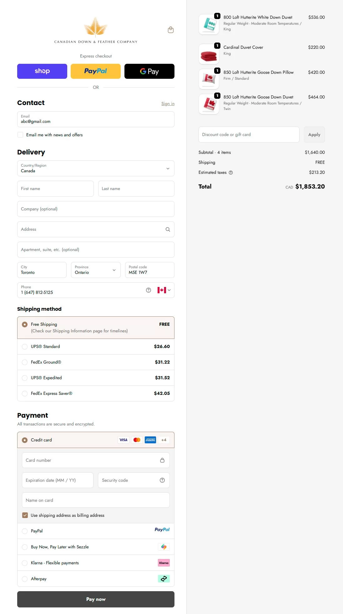 payment page